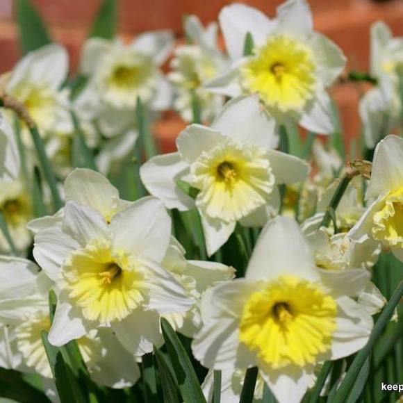 Meet your Posher, Judy - Picture 1 of 1